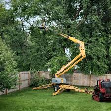 Best Hazardous Tree Removal  in Greensboro, AL