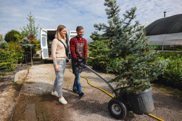 How Our Tree Care Process Works  in  Greensboro, AL